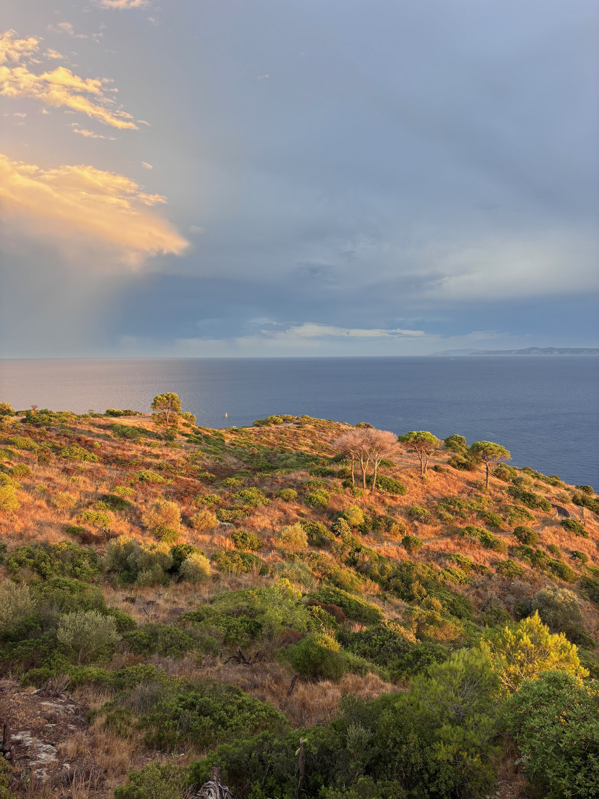 La côte en fin de journée : garrigue et pins parasols éclairés d'une lumière rase, un orage qui s'éloigne au-dessus de la Méditerranée.